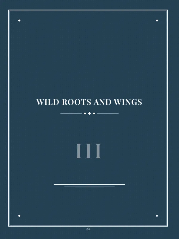 Dear Brother, page 34 in the colour edition — III · Wild Roots and Wings