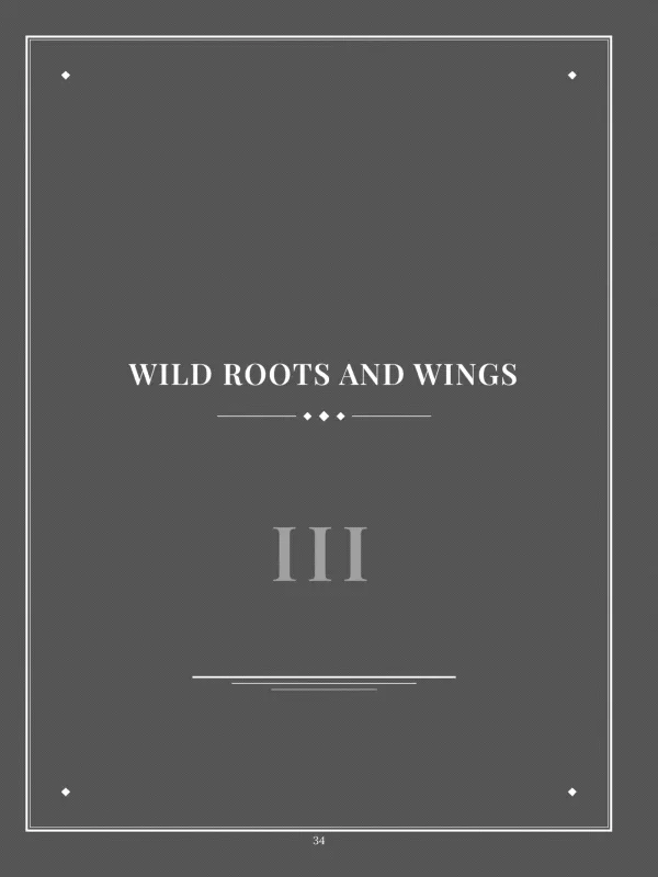 Dear Brother, page 34 — III · Wild Roots and Wings