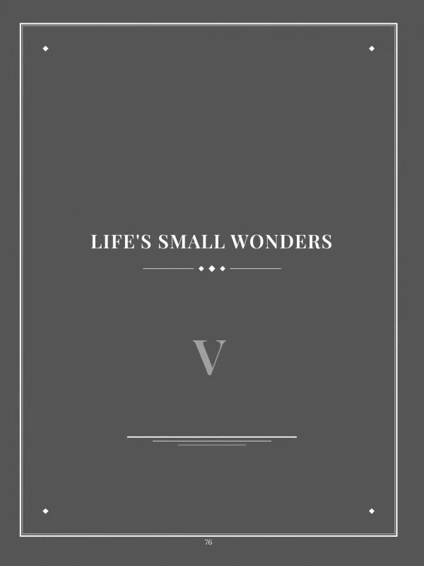 Dear Dad, page 76 — V · Life's Small Wonders