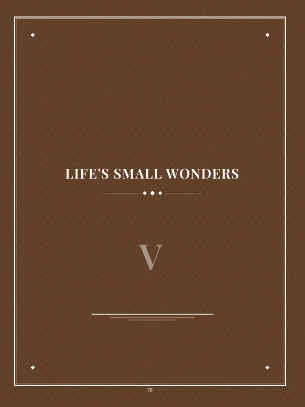 Dear Dad, page 76 in the colour edition — V · Life's Small Wonders